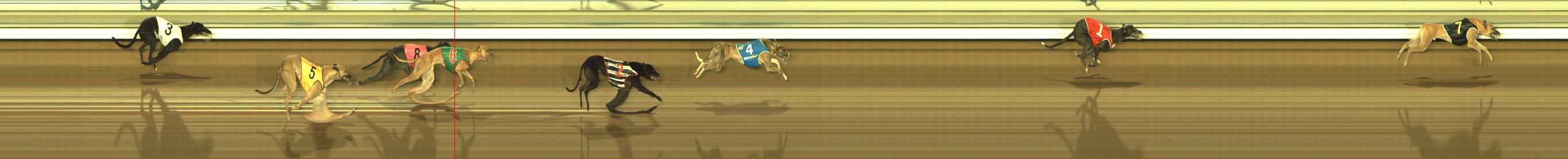 Race result finish photo